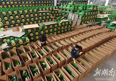 備戰(zhàn)雙十一，薯類(lèi)產(chǎn)品銷(xiāo)售攻略