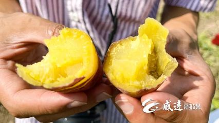 1元1斤！線上線下銷售火！威遠秋季美味火爆上市！