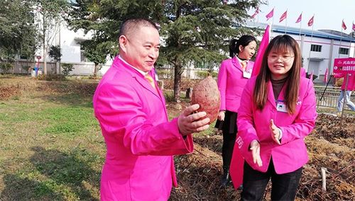 后疫情時代，薯類食品如何成為健康餐桌的“常駐嘉賓”？