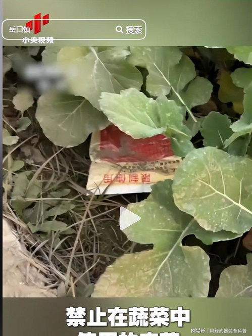 云南‘毒紅薯’事件升級 調(diào)查組介入深挖產(chǎn)業(yè)鏈，商戶‘主動投毒’背后的黑幕浮出水面